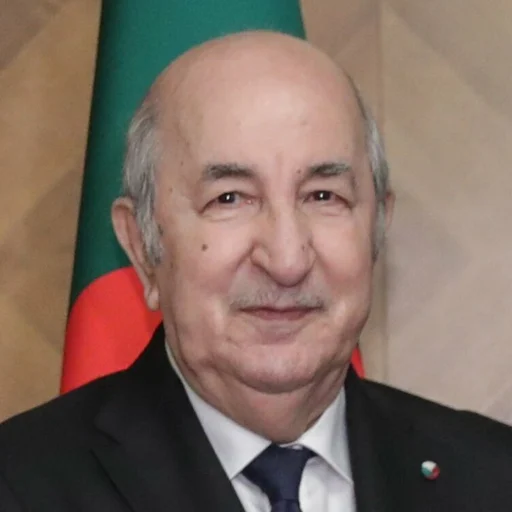 Abdelmadjid Tebboune portrait