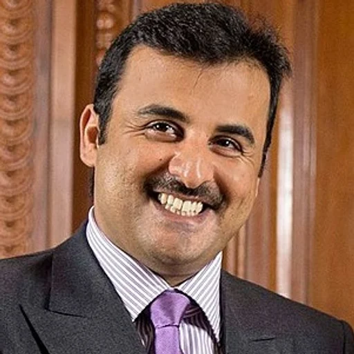Tamim bin Hamad Al Thani portrait